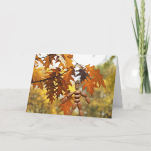 Große Bäume wachsen aus kleinen Eicheln. Karte