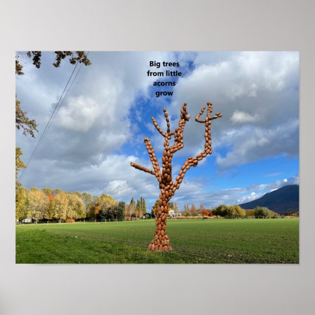 Große Bäume wachsen aus kleinen Eicheln. Poster (Vorne)