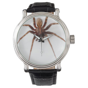 Große beängstigende Spinne Armbanduhr