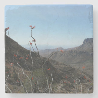 Große Biegungc$park-ocotillo-Gebirgslandschaft Steinuntersetzer