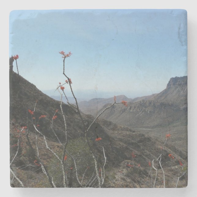 Große Biegungc$park-ocotillo-Gebirgslandschaft Steinuntersetzer (Vorderseite)