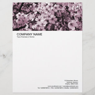 Große Bildüberschrift - Cherry Blossom Briefbogen