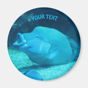 Große blaue Fische Magnet