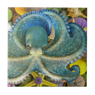 Große blaue Kraken-Fliese Fliese