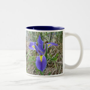 Große blaue Louisiana-Iris Zweifarbige Tasse