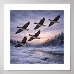 Große Blessgänse im Winter – Poster