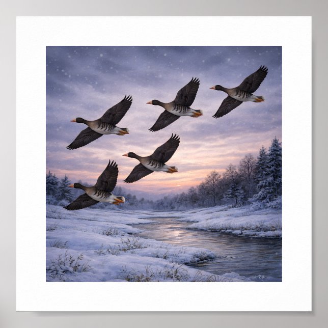 Große Blessgänse im Winter –  Poster (Vorne)