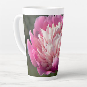 Große Blume aus rosa Pinien im Frühlingstag Foto Milchtasse