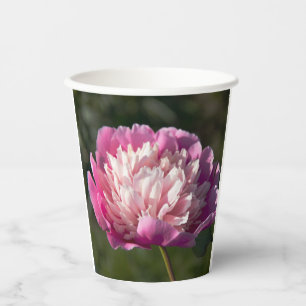 Große Blume aus rosa Pinien im Frühlingstag Foto Pappbecher