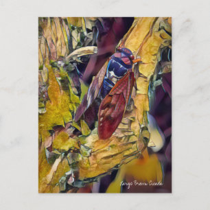 Große braune Cicada: Postkarte