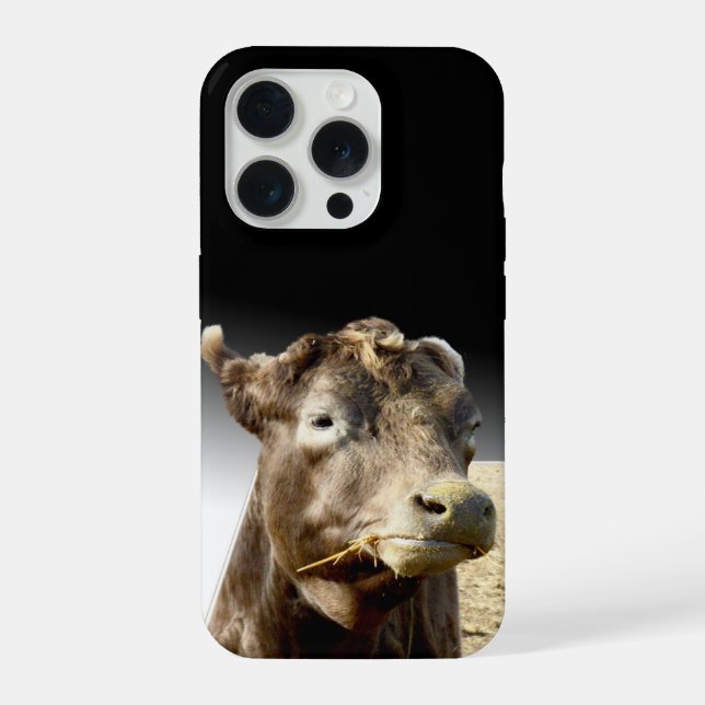 Große braune Kuh kaut an Heu, iPhone Hülle (Rückseite)