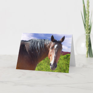 Große Bucht-amerikanischer Quarterhorse - löschen Karte
