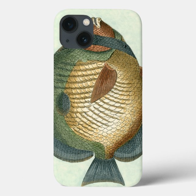 Große bunte Fische Case-Mate iPhone Hülle (Rückseite)