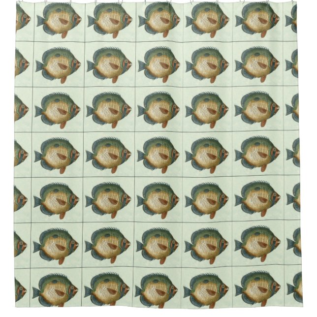 Große bunte Fische Duschvorhang (Vorderseite)