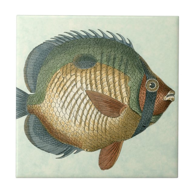 Große bunte Fische Fliese (Vorderseite)
