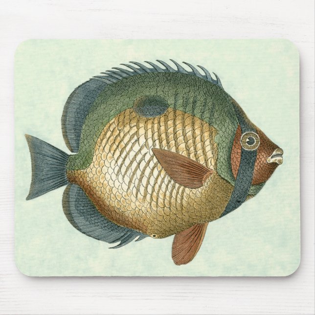 Große bunte Fische Mousepad (Vorne)