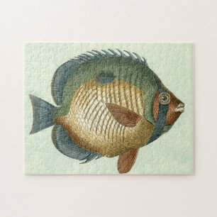 Große bunte Fische Puzzle