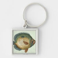 Große bunte Fische