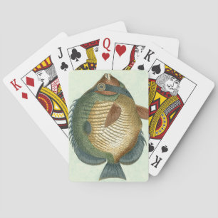 Große bunte Fische Spielkarten
