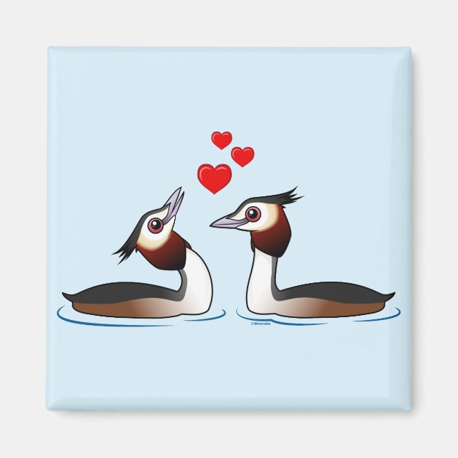 Große Crested Grebes in der Liebe Magnet (Vorne)