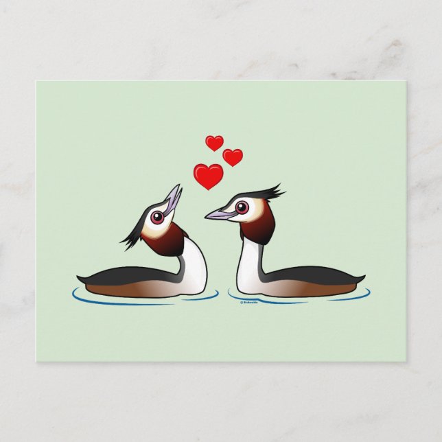 Große Crested Grebes in der Liebe Postkarte (Vorderseite)