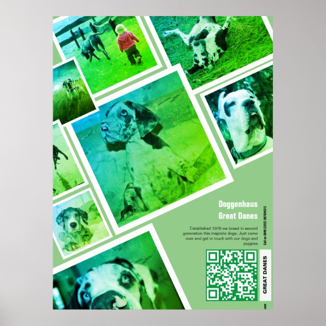 Große Dane Kennel Werbeaktion Poster (Vorne)