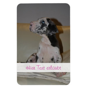 Große Dänen Magnet