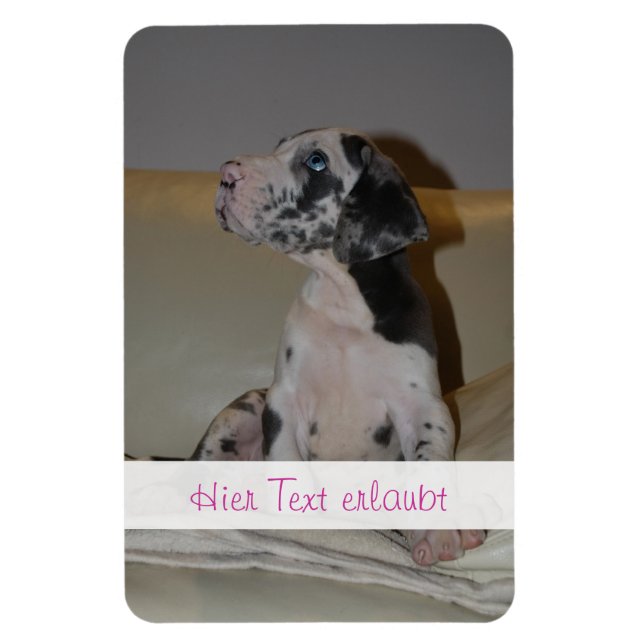 Große Dänen Magnet (Vertikal)