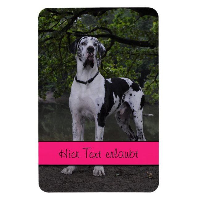 Große Dänen Magnet (Vertikal)