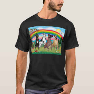 Große Dänen (vier) - Rainbow Bright T-Shirt