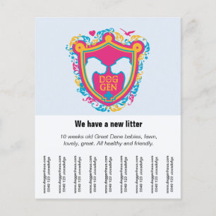 Große Danen zu verkaufen Flyer