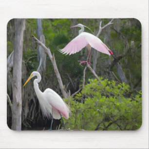 Große Egret Dominanz über Roseate Spoonbill. Mousepad