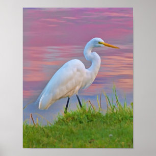 Große Egrets Spaziergang bei Sonnenaufgang Poster
