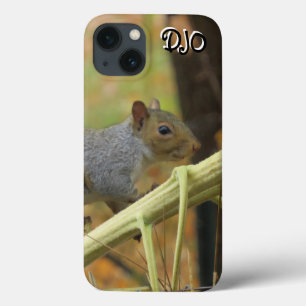 Große Eichhörnchen Case-Mate iPhone Case