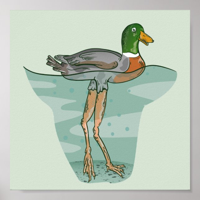 Große Ente mit langen Beinen Poster (Vorne)