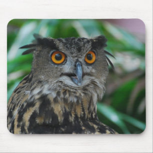 Große Eulen-Mausunterlage Mousepad