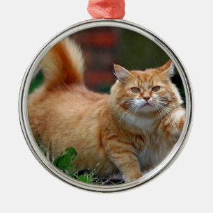 Große fette orange Katze Ornament Aus Metall
