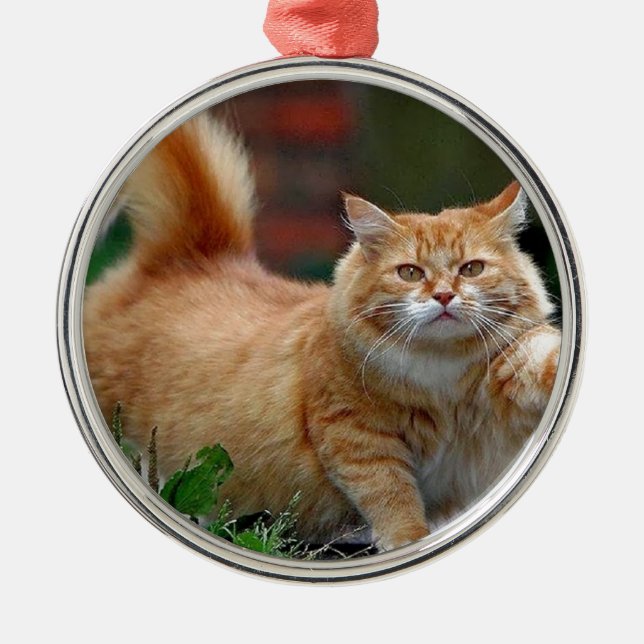 Große fette orange Katze Ornament Aus Metall (Vorne)