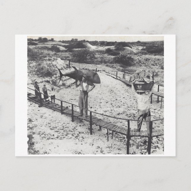 Große Fische - Einladungspostkarte (Vorderseite)