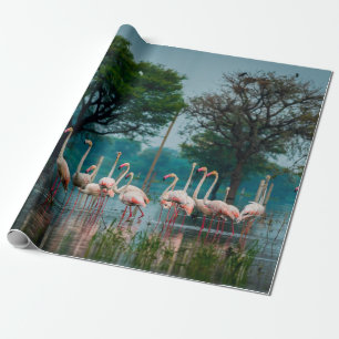 Große Flamingoherde im natürlichen Lebensraum. Ein Geschenkpapier