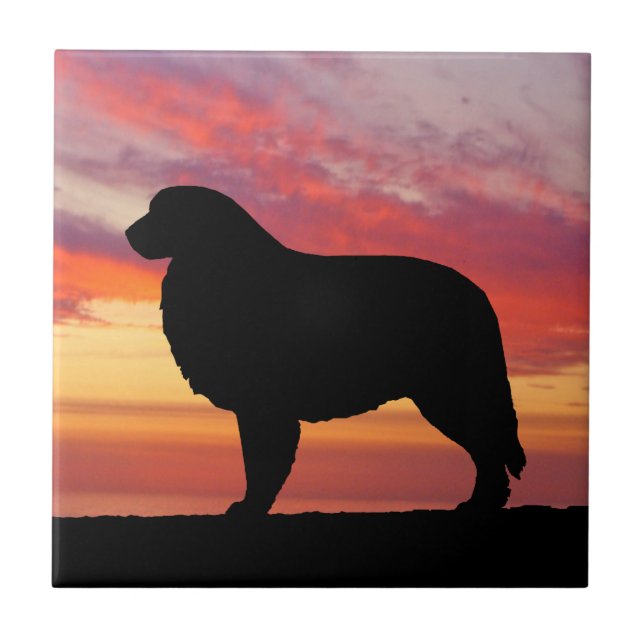 Große Fliese (Vorderseite)