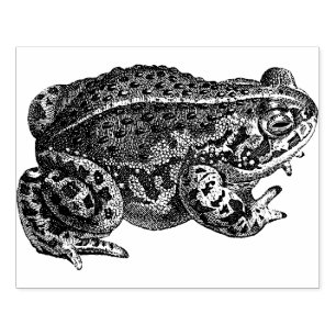 Große Froschgummi-Briefmarke Gummistempel