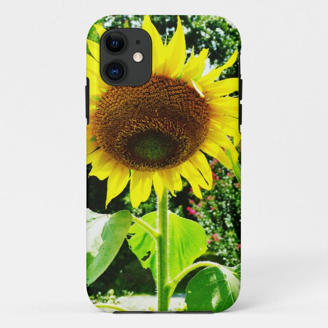 Große gelbe Sonnenblume Case-Mate iPhone Hülle (Rückseite)