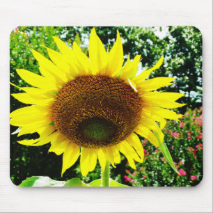 Große gelbe Sonnenblume Mousepad