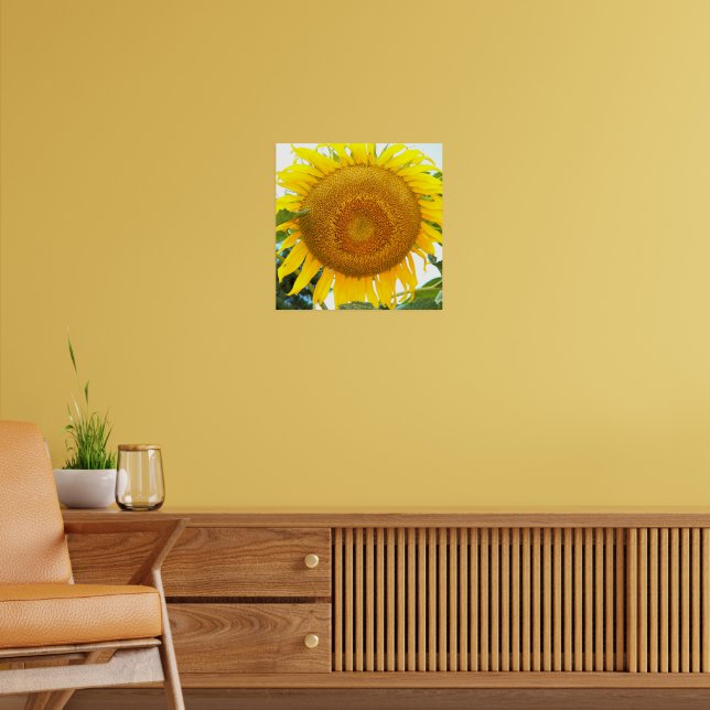 Große gelbe Sonnenblume Poster (Wohnzimmer 2)