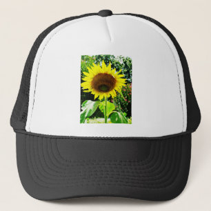 Große gelbe Sonnenblume Truckerkappe