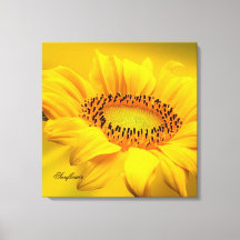 Große gelbe Sonnenblumen gesteppte Leinwand Print