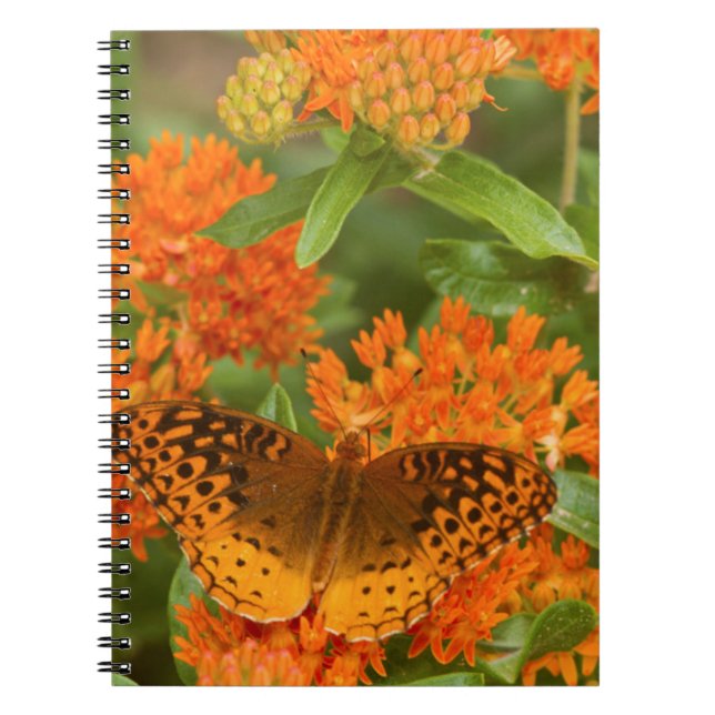 Große, gesprenkelte Fritillen auf Schmetterling-Mi Notizblock (Vorderseite)
