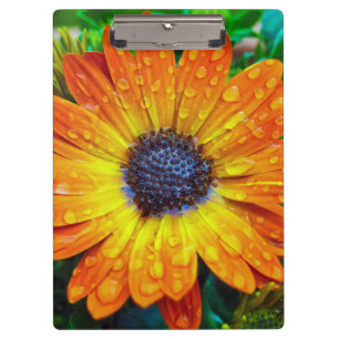 Große Goldene Blume Nah Klemmbrett