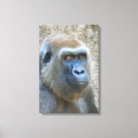 Große Gorilla umarmte Canvas!